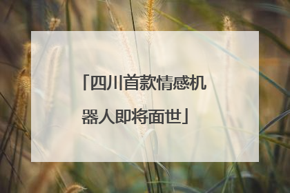 四川首款情感机器人即将面世