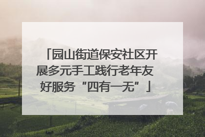 园山街道保安社区开展多元手工践行老年友好服务“四有一无”