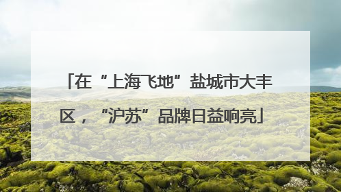在“上海飞地”盐城市大丰区，“沪苏”品牌日益响亮