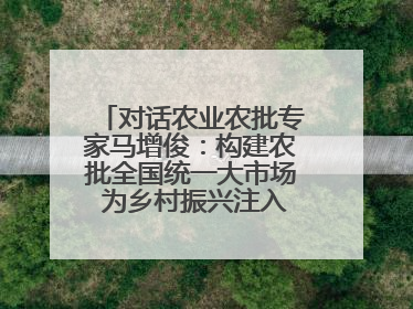 对话农业农批专家马增俊：构建农批全国统一大市场 为乡村振兴注入强劲动力