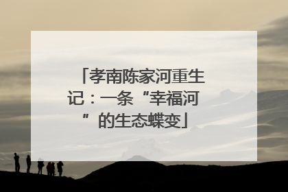 孝南陈家河重生记：一条“幸福河”的生态蝶变