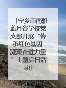宁乡市南雅蓝月谷学校党支部开展“传承红色基因 凝聚奋进力量”主题党日活动