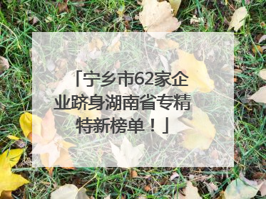 宁乡市62家企业跻身湖南省专精特新榜单！