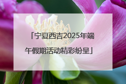 宁夏西吉2025年端午假期活动精彩纷呈
