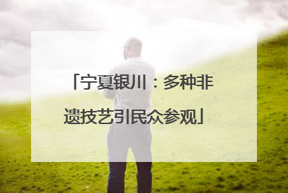 宁夏银川：多种非遗技艺引民众参观