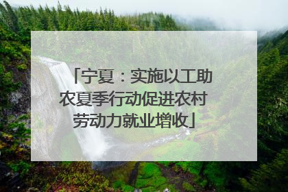 宁夏：实施以工助农夏季行动促进农村劳动力就业增收