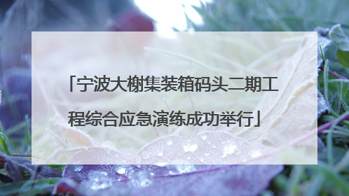 宁波大榭集装箱码头二期工程综合应急演练成功举行