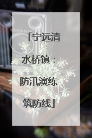 宁远清水桥镇：防汛演练筑防线