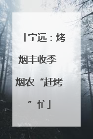 宁远：烤烟丰收季 烟农“赶烤”忙