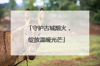 守护古城烟火，绽放温暖光芒