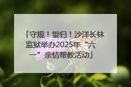 守规！望归！沙洋长林监狱举办2025年“六一”亲情帮教活动