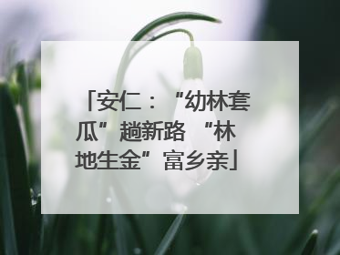 安仁：“幼林套瓜”趟新路 “林地生金”富乡亲