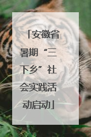 安徽省暑期“三下乡”社会实践活动启动