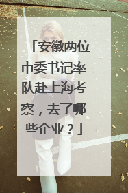 安徽两位市委书记率队赴上海考察，去了哪些企业？