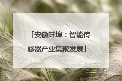 安徽蚌埠：智能传感器产业集聚发展