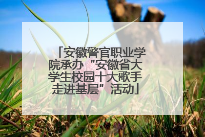 安徽警官职业学院承办“安徽省大学生校园十大歌手走进基层”活动