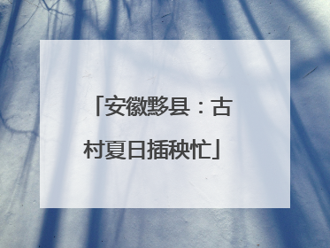 安徽黟县：古村夏日插秧忙