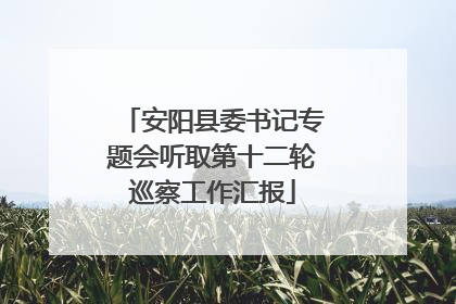 安阳县委书记专题会听取第十二轮巡察工作汇报
