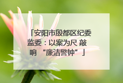 安阳市殷都区纪委监委：以案为尺 敲响 “廉洁警钟”