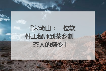 宋琦山：一位软件工程师到茶乡制茶人的蝶变