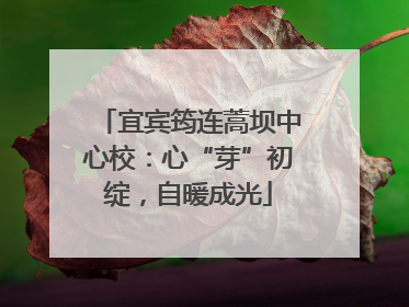 宜宾筠连蒿坝中心校：心“芽”初绽，自暖成光
