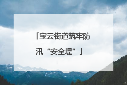 宝云街道筑牢防汛“安全堤”