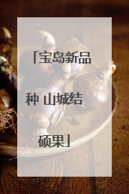 宝岛新品种 山城结硕果