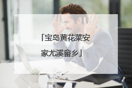 宝岛黄花菜安家尤溪畲乡