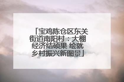 宝鸡陈仓区东关街道南阳村：大棚经济结硕果 绘就乡村振兴新图景