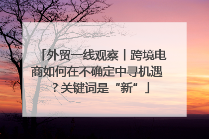外贸一线观察丨跨境电商如何在不确定中寻机遇？关键词是“新”