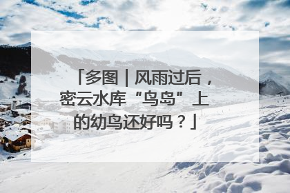 多图｜风雨过后，密云水库“鸟岛”上的幼鸟还好吗？