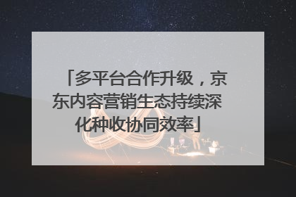 多平台合作升级，京东内容营销生态持续深化种收协同效率