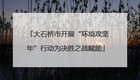 大石桥市开展“环境攻坚年”行动为决胜之战赋能
