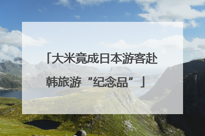 大米竟成日本游客赴韩旅游“纪念品”
