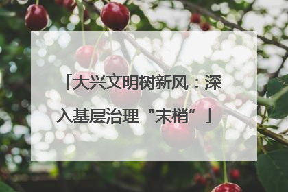 大兴文明树新风：深入基层治理“末梢”