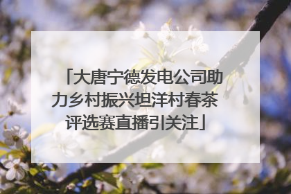 大唐宁德发电公司助力乡村振兴坦洋村春茶评选赛直播引关注