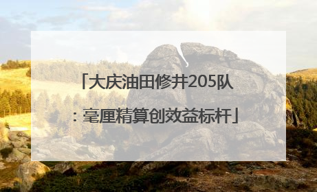 大庆油田修井205队：毫厘精算创效益标杆