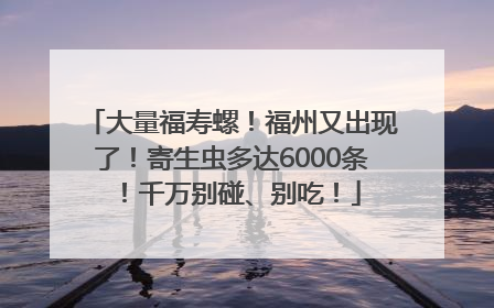 大量福寿螺！福州又出现了！寄生虫多达6000条！千万别碰、别吃！