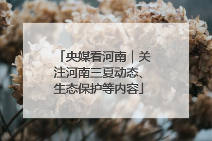 央媒看河南｜关注河南三夏动态、生态保护等内容