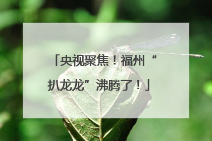央视聚焦！福州“扒龙龙”沸腾了！