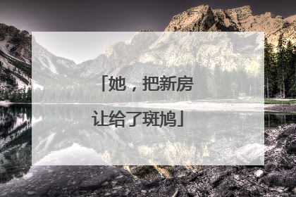 她，把新房让给了斑鸠