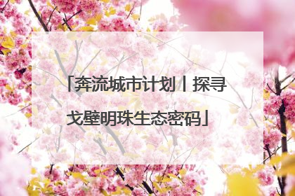 奔流城市计划丨探寻戈壁明珠生态密码