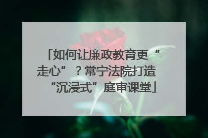 如何让廉政教育更“走心”？常宁法院打造“沉浸式”庭审课堂