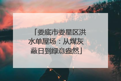 娄底市娄星区洪水单屋场：从煤灰蔽日到绿意盎然
