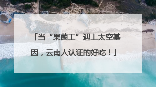 当“果菌王”遇上太空基因，云南人认证的好吃！