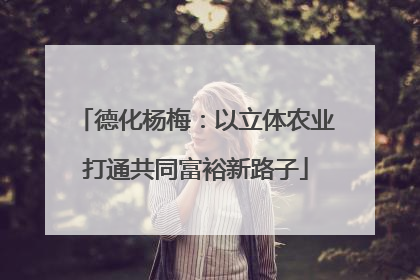 德化杨梅：以立体农业打通共同富裕新路子