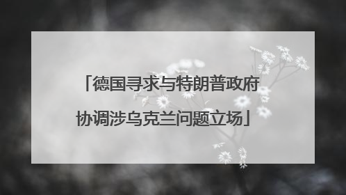 德国寻求与特朗普政府协调涉乌克兰问题立场