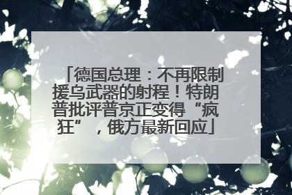 德国总理：不再限制援乌武器的射程！特朗普批评普京正变得“疯狂”，俄方最新回应