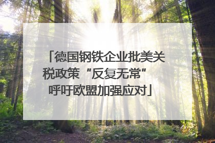 德国钢铁企业批美关税政策“反复无常” 呼吁欧盟加强应对