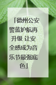 德州公安警蓝护航再升级 让安全感成为音乐节最强底色